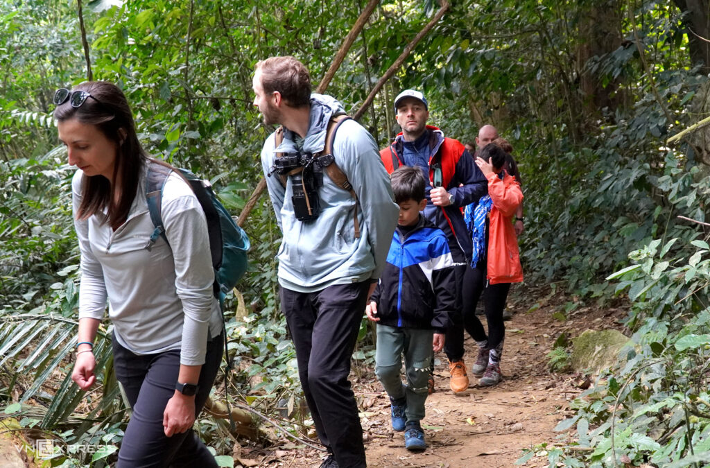 sinh tồn rừng cúc phương